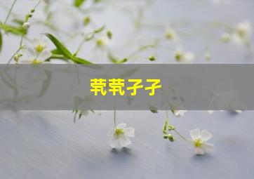 茕茕孑孑