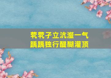 茕茕孑立沆瀣一气踽踽独行醍醐灌顶