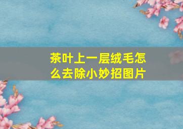 茶叶上一层绒毛怎么去除小妙招图片