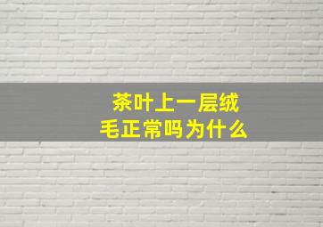 茶叶上一层绒毛正常吗为什么