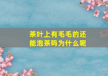 茶叶上有毛毛的还能泡茶吗为什么呢