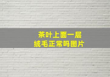 茶叶上面一层绒毛正常吗图片