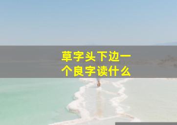 草字头下边一个良字读什么