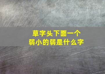 草字头下面一个弱小的弱是什么字