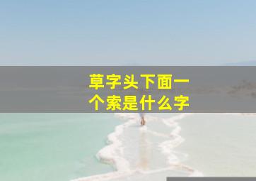 草字头下面一个索是什么字