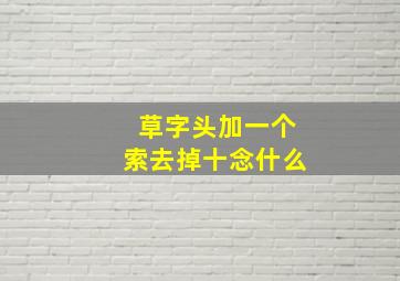 草字头加一个索去掉十念什么