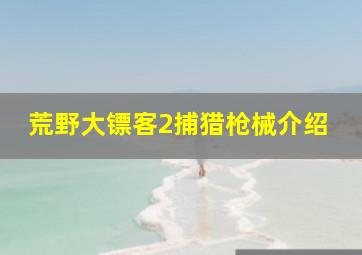 荒野大镖客2捕猎枪械介绍