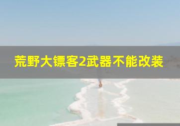 荒野大镖客2武器不能改装