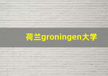 荷兰groningen大学