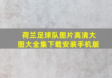 荷兰足球队图片高清大图大全集下载安装手机版