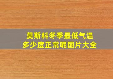 莫斯科冬季最低气温多少度正常呢图片大全