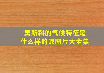 莫斯科的气候特征是什么样的呢图片大全集