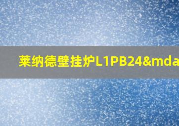 莱纳德壁挂炉L1PB24—D