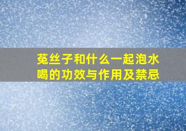 菟丝子和什么一起泡水喝的功效与作用及禁忌