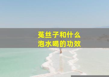 菟丝子和什么泡水喝的功效