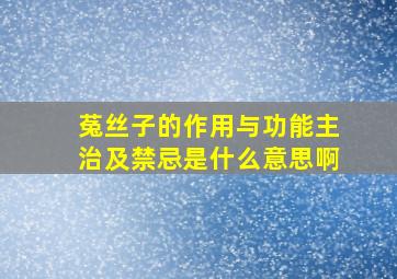 菟丝子的作用与功能主治及禁忌是什么意思啊