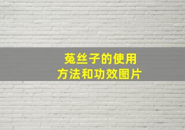 菟丝子的使用方法和功效图片