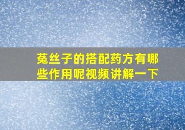 菟丝子的搭配药方有哪些作用呢视频讲解一下