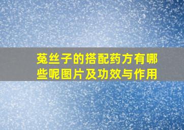 菟丝子的搭配药方有哪些呢图片及功效与作用