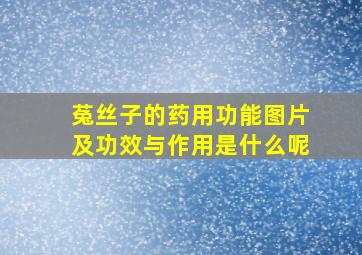 菟丝子的药用功能图片及功效与作用是什么呢