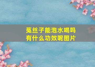 菟丝子能泡水喝吗有什么功效呢图片