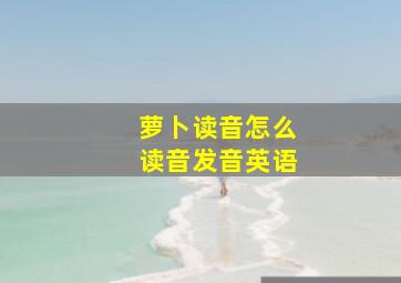 萝卜读音怎么读音发音英语