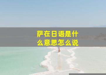 萨在日语是什么意思怎么说