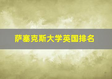 萨塞克斯大学英国排名