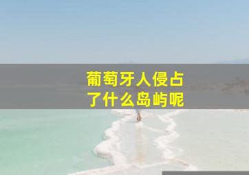 葡萄牙人侵占了什么岛屿呢