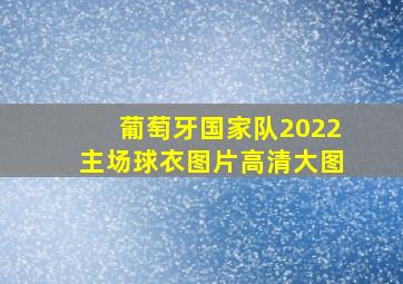 葡萄牙国家队2022主场球衣图片高清大图