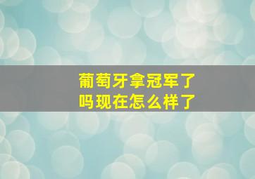 葡萄牙拿冠军了吗现在怎么样了