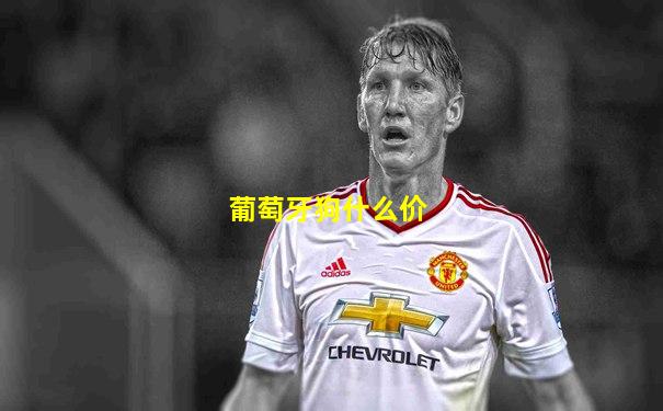葡萄牙狗什么价