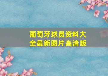 葡萄牙球员资料大全最新图片高清版