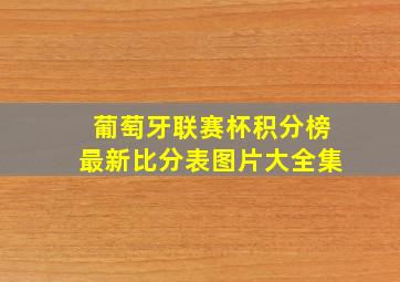 葡萄牙联赛杯积分榜最新比分表图片大全集