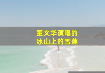 董文华演唱的冰山上的雪莲