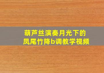 葫芦丝演奏月光下的凤尾竹降b调教学视频