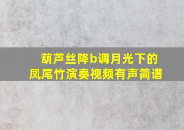 葫芦丝降b调月光下的凤尾竹演奏视频有声简谱