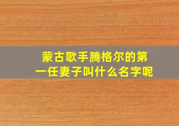 蒙古歌手腾格尔的第一任妻子叫什么名字呢