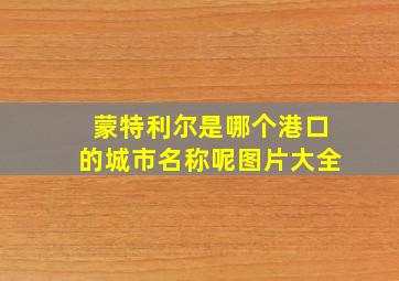 蒙特利尔是哪个港口的城市名称呢图片大全