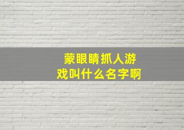 蒙眼睛抓人游戏叫什么名字啊