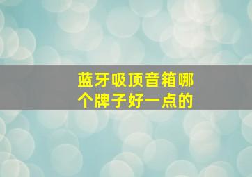 蓝牙吸顶音箱哪个牌子好一点的