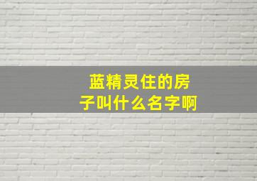 蓝精灵住的房子叫什么名字啊