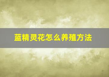 蓝精灵花怎么养殖方法