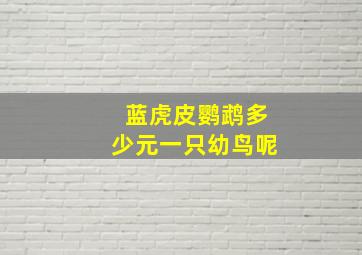 蓝虎皮鹦鹉多少元一只幼鸟呢