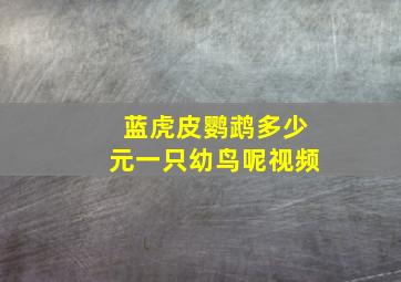 蓝虎皮鹦鹉多少元一只幼鸟呢视频