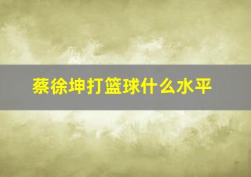 蔡徐坤打篮球什么水平