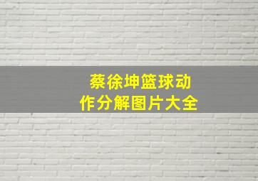 蔡徐坤篮球动作分解图片大全