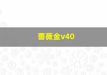 蔷薇金v40