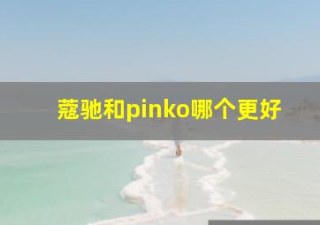 蔻驰和pinko哪个更好