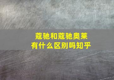 蔻驰和蔻驰奥莱有什么区别吗知乎